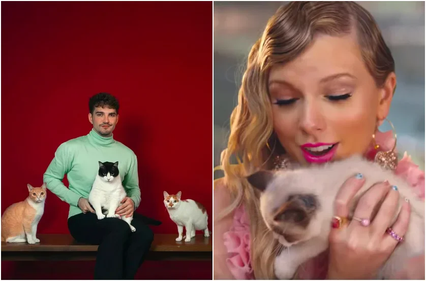 Cantor Jão e Taylor Swift com seus gatos