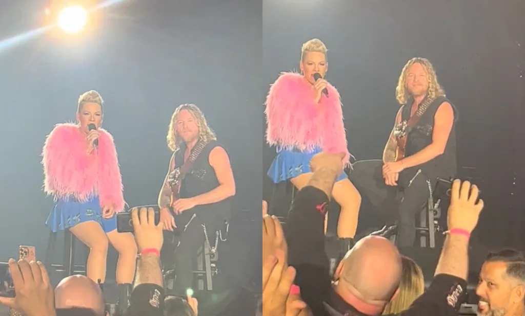 Pink expulsa fã que fazia protesto contra circuncisão em show 1 pink expulsa fa