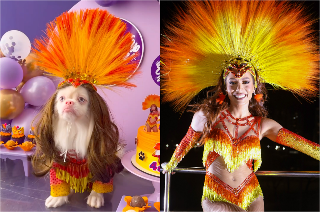 Cachorro ganha festa inspirada nos 'Ensaios de Anitta' e cantora comenta 1 anitta 4
