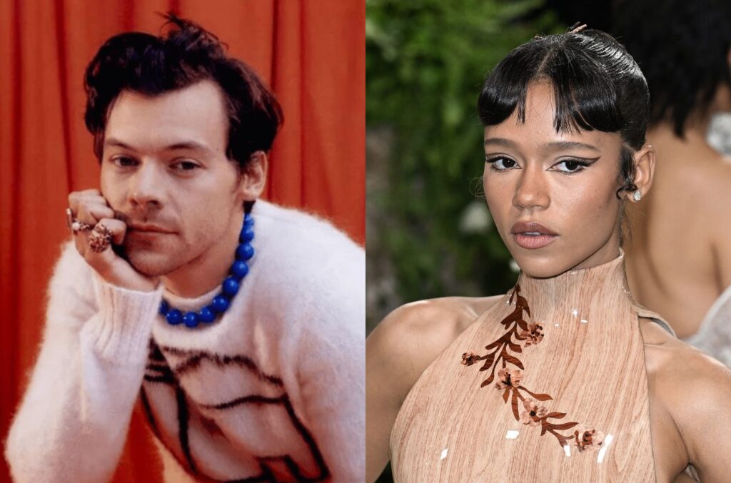 Harry Styles e Taylor Russell terminam namoro; saiba detalhes 1 melly111 9