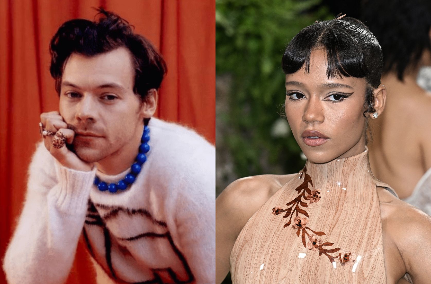 Harry Styles e Taylor Russell terminam namoro; saiba detalhes